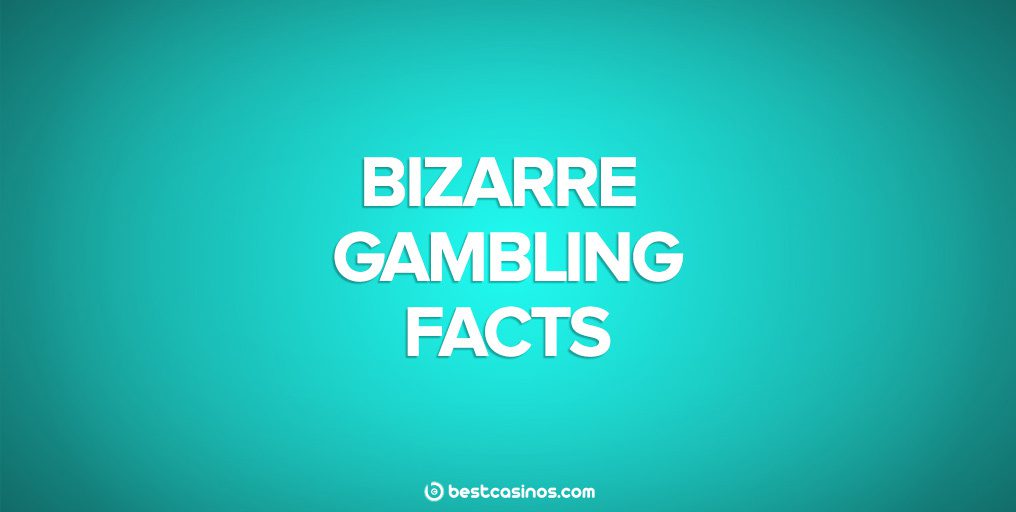 The best and weirdest facts about gambling